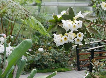 oregon/jefferson-county/attraction/rhododendron-species-botanical-garden
