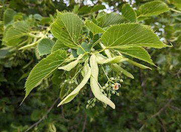 iowa/iowa-city/attraction/hickory-hill-park-east-entrance
