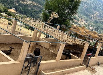 lebanon/chouf/attraction/the-donkey-farm