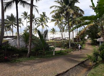 brazil/itacare/attraction/bica-de-itacarezinho