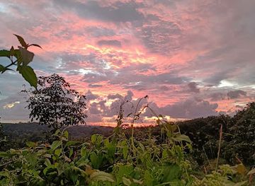 india/kerala/attraction/view-point