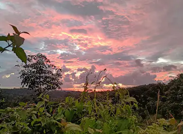 View point