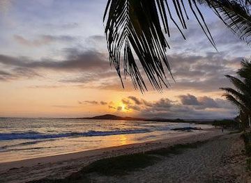 ecuador/galapagos-islands/attraction/playa-isabela