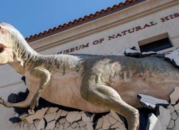 arizona/tempe/attraction/arizona-museum-of-natural-history