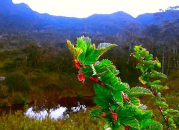 indonesia/highlands-papua/attraction/mologiggah