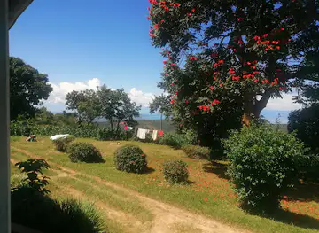Stone House Museum