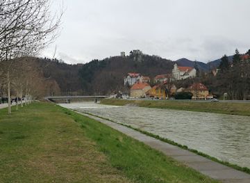 slovenia/savinja/attraction/regional-museum-of-celje