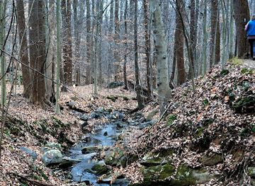 maryland/billy-goat-trail/attraction/ford-mine-trail