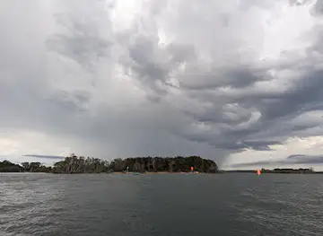 Pelican Island