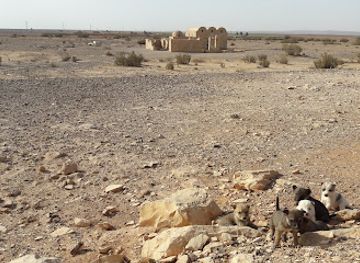 jordan/southern-jordan-valley/attraction/quseir-amra
