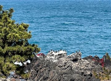 south-korea/jeju-island/attraction/dodubong-peak