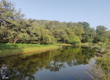 india/ranthambore/attraction/patwa-babori