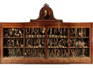 netherlands/dutch-coast/attraction/museum-vrolik