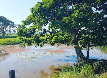 australia/northern-queensland/attraction/mungalla-station