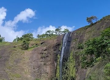 india/kerala/attraction/aaliveenakuthu-waterfalls