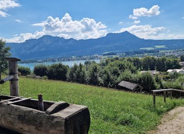 austria/salzkammergut/attraction/bauernmuseum-mondseeland