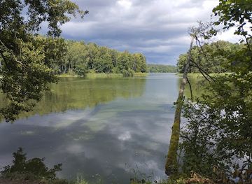 poland/bory-tucholskie/attraction/lowisko-grobla