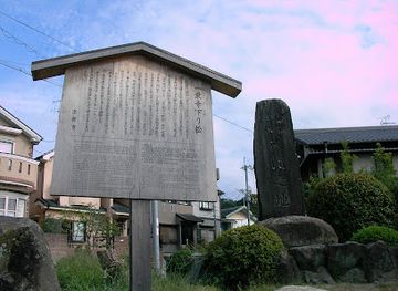 japan/musashi/attraction/ichijo-ji-sagari-matsu-pine
