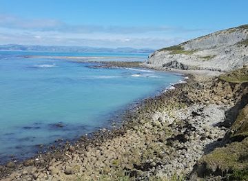 new-zealand/gisborne/attraction/sponge-bay-beach