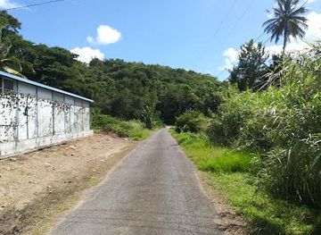 grenada/guava/attraction/la-sagesse-beach