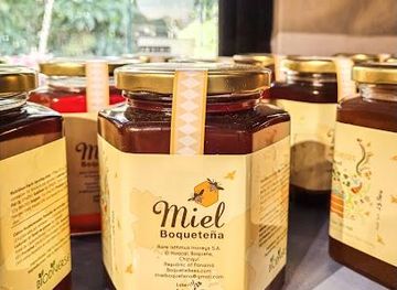 panama/volcan/attraction/boquete-bees-and-butterflies