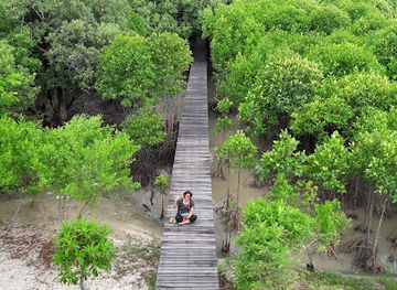 thailand/rayong/attraction/mangrove-forest-learning-center-phra-chedi-klang-nam