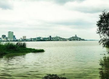 ecuador/guayas-region/attraction/isla-santay