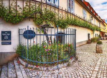 slovenia/maribor/tabor/attraction/stara-trta-najstarejsa-trta-na-svetu