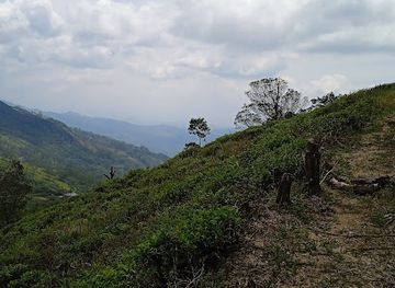sri-lanka/knuckles-mountain-range/attraction/gombaniya-hiking-trail-starting-point