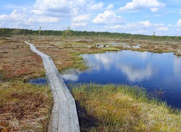 estonia/parnumaa/attraction/soomaa-national-park