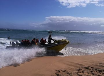 south-africa/isimangaliso-wetland-park/attraction/adventure-mania-sodwana-bay-scuba-diving