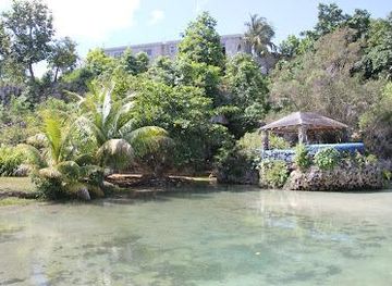 jamaica/ocho-rios/attraction/mahogany-beach