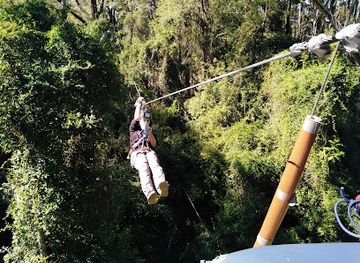 chile/araucania-region/attraction/bosque-aventura-pucon