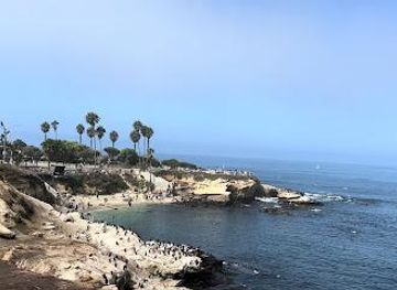 california/oceanside/attraction/la-jolla-cove