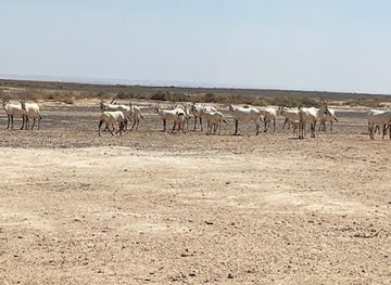 jordan/shawmari-wildlife-reserve/attraction/shaumari-wildlife-reserve-visitor-center