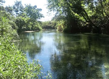 jamaica/cornwall-county/attraction/cabarita-river-adventure-mesopotamia-leisure-farm