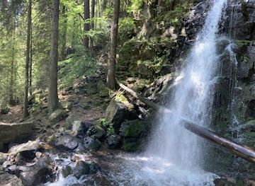 germany/black-forest/attraction/zweribachwasserfalle