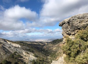 spain/sierra-nevada/attraction/botanical-garden-la-cortijuela