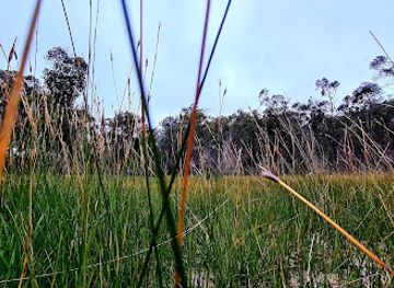 australia/darling-downs/attraction/underground-creek