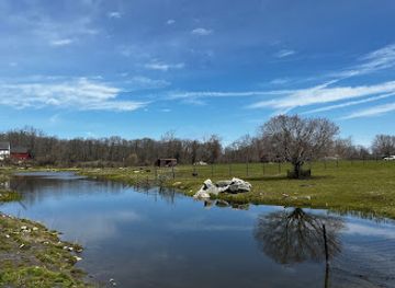 connecticut/central-connecticut/attraction/action-wildlife-foundation