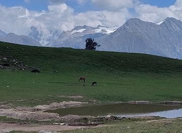 pakistan/karakoram-highway/attraction/paya-meadows