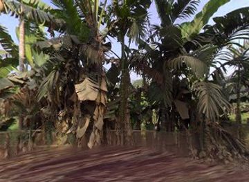 india/tripura/attraction/devtamura-ancient-historical-rock-carvings-shiva-vishnu-durga-ganesha-karthikeya-south-tripura-district-tripura-india