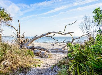 florida/jacksonville/attraction/driftwood-beach