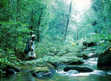 madagascar/masoala-national-park/attraction/parc-national-de-mananara-nord