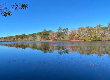 massachusetts/provincetown/attraction/beech-forest