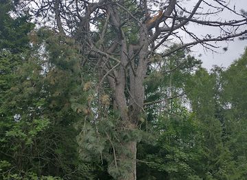 estonia/kärdla/attraction/sulluste-must-mand