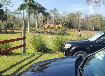florida/fakahatchee-strand-preserve-state-park/attraction/panther-statue