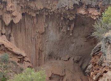arizona/grand-canyon/attraction/bearizona-wildlife-park