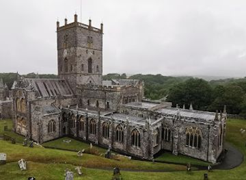 united-kingdom/pembrokeshire/attraction/wild-about-pembrokeshire