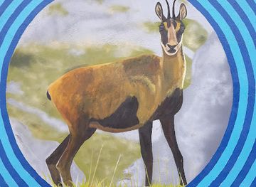 spain/huesca/attraction/mural-animales-del-pirineo